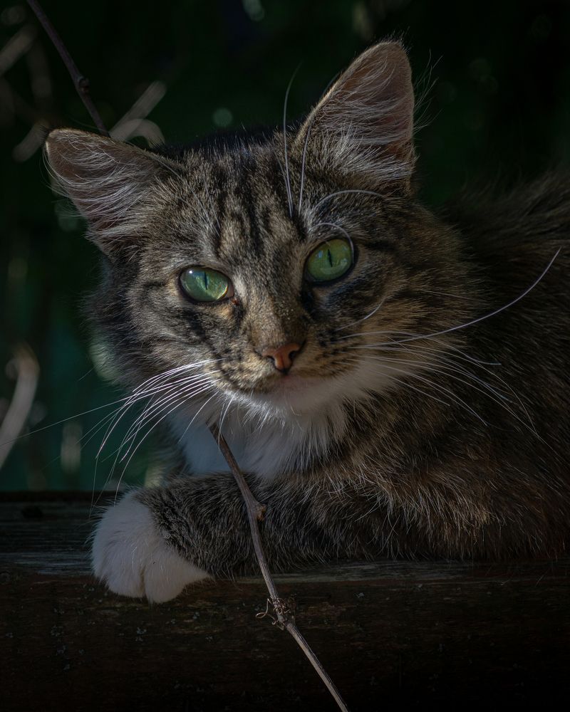 Photograph by T.Ю. Гринько