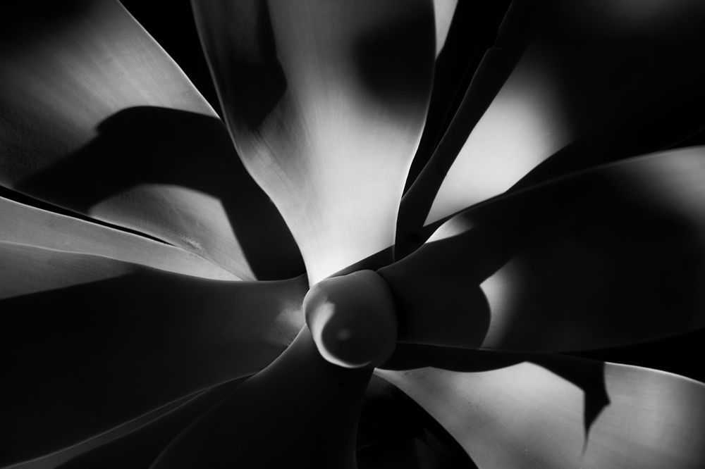 Photograph by Rumi S. Yada