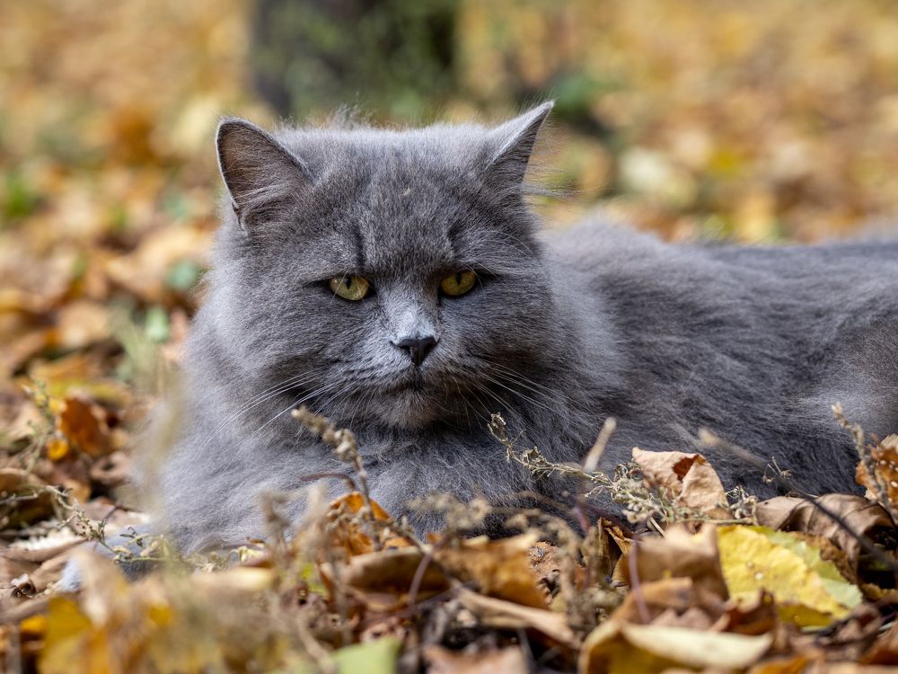 Photograph by Маргарита Ивкова