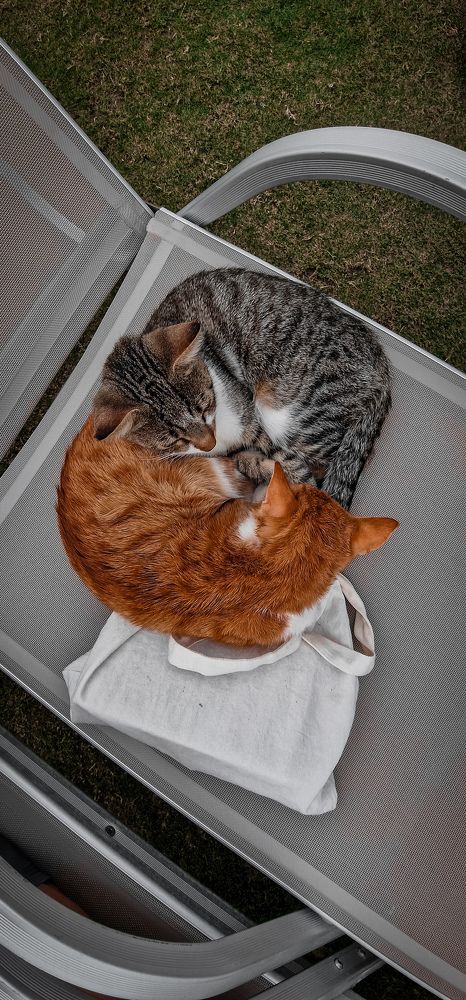 Photograph by Алёна Губинская