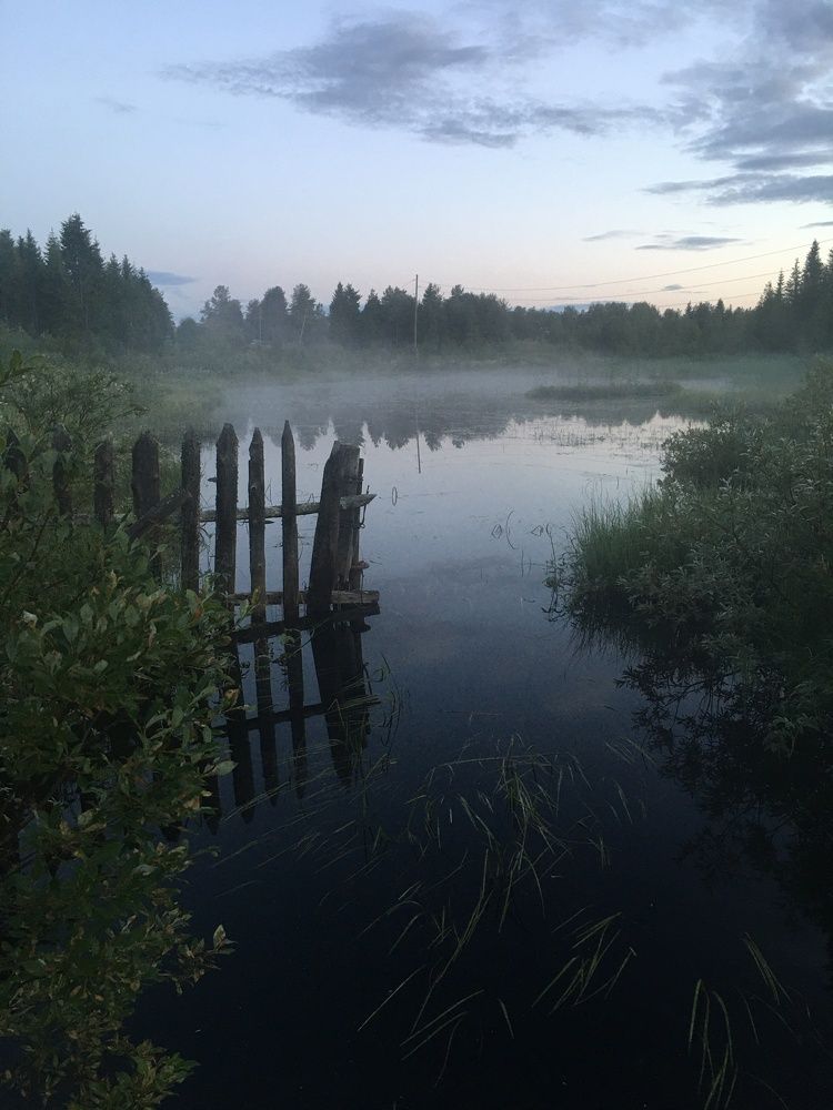 Photograph by Виктория Новосадова