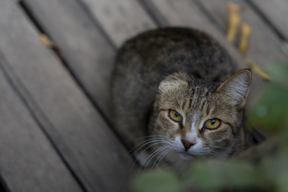 Photograph by Павел Сарвардинов