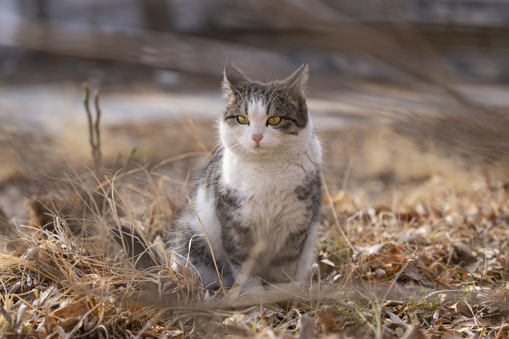 Photograph by Павел Сарвардинов