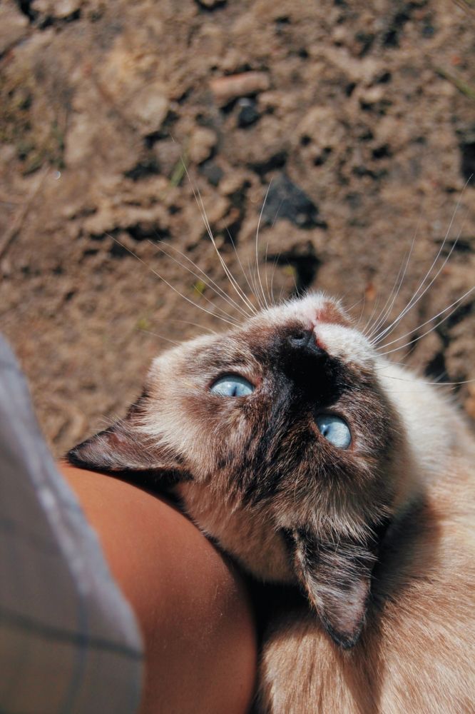 Photograph by Юлия Журавлёва