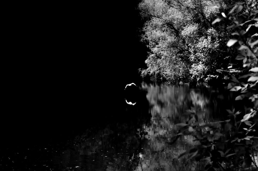 Photograph by Екатерина