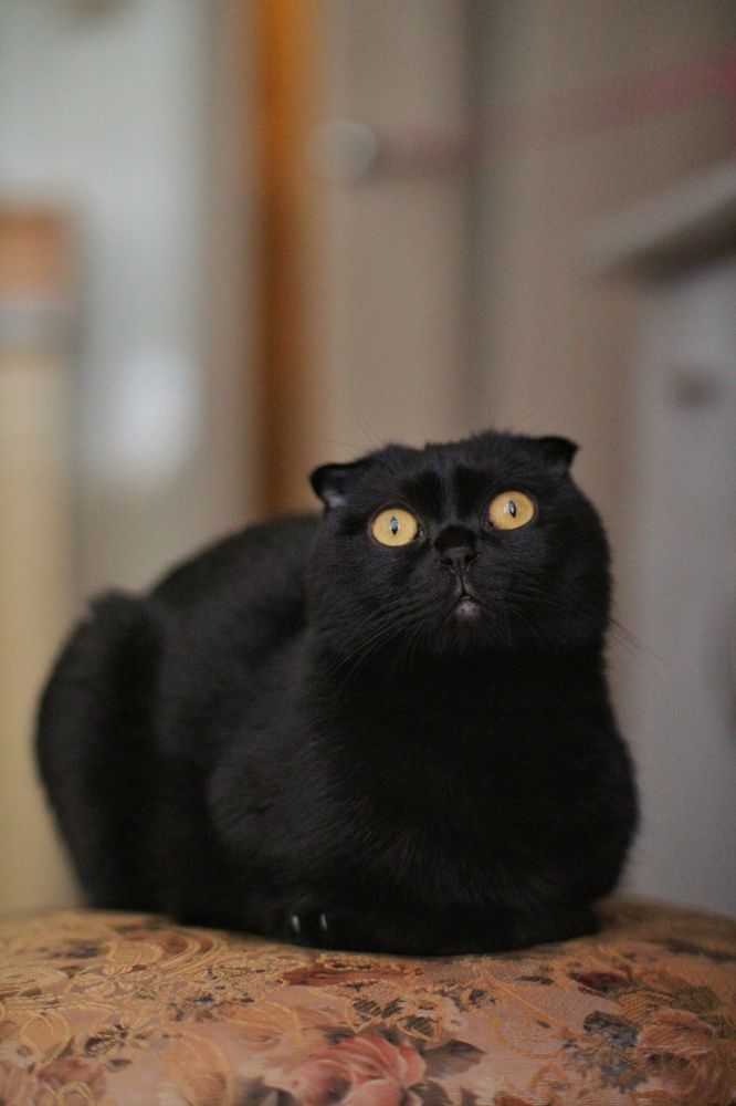 Photograph by Юлия Журавлёва