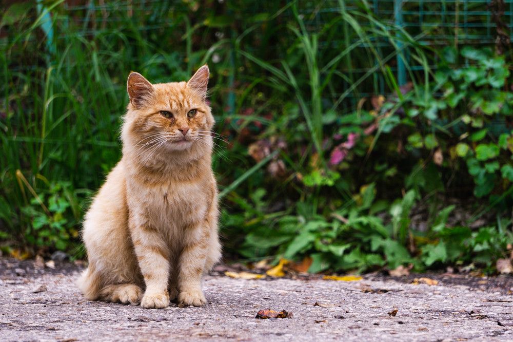 Photograph by Александр Ходакин