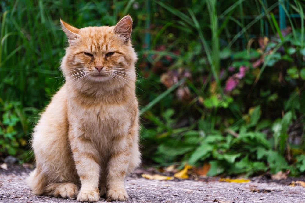 Photograph by Александр Ходакин