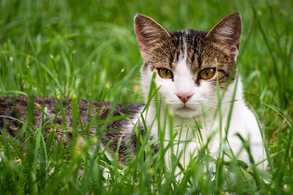 Photograph by Александр Ходакин