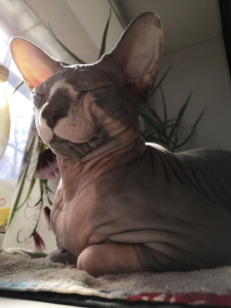 Photograph by Светлана Подорван