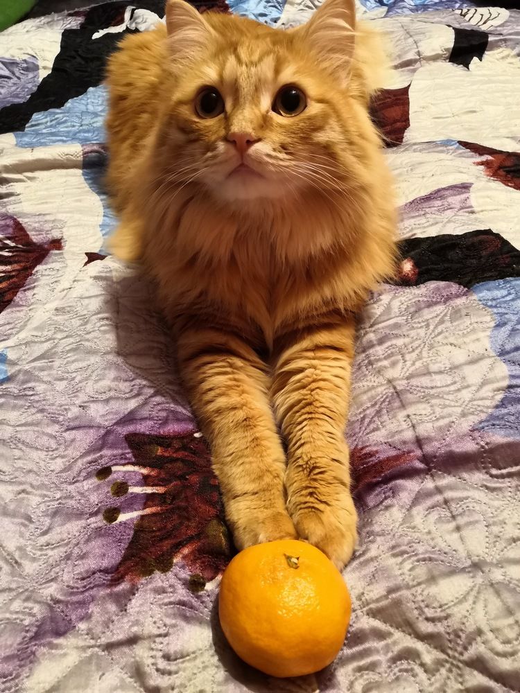 Photograph by Светлана Подорван