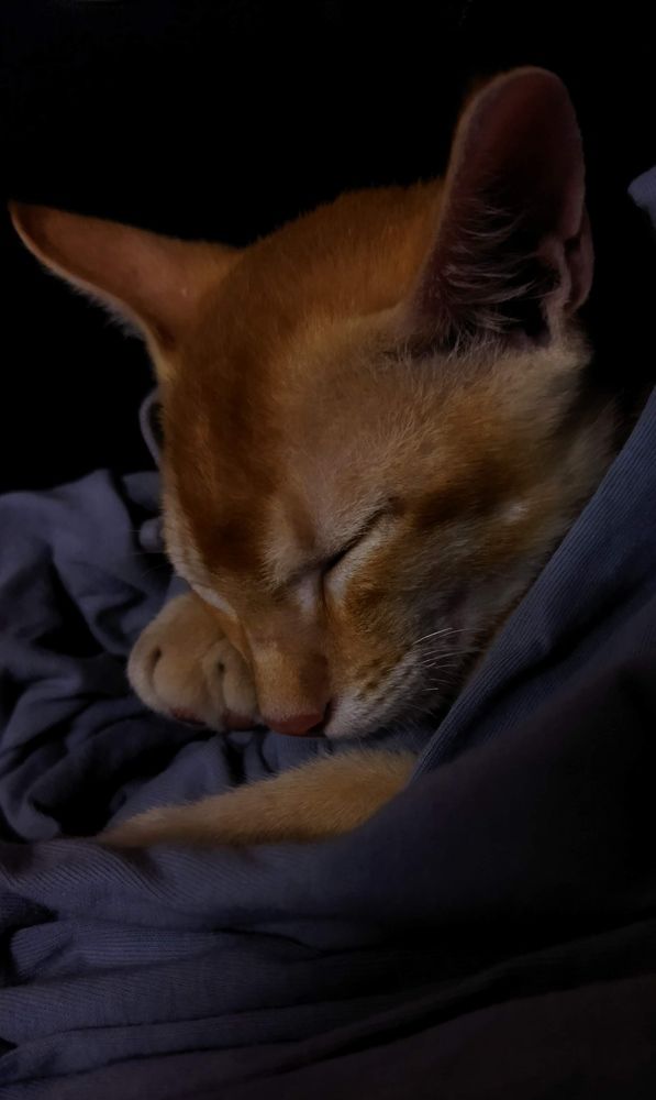 Photograph by Saurabh