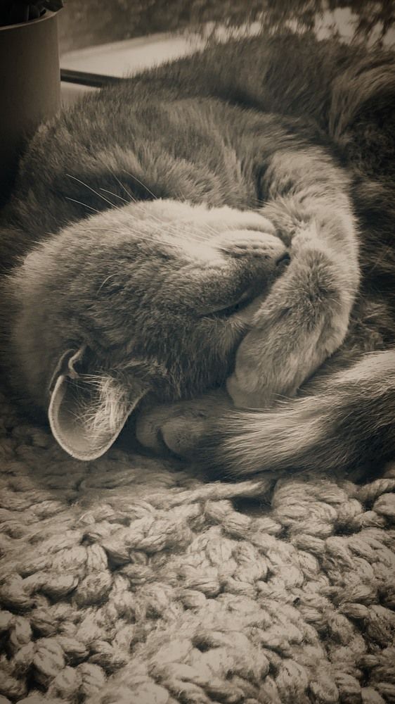 Photograph by гульназ замалеева