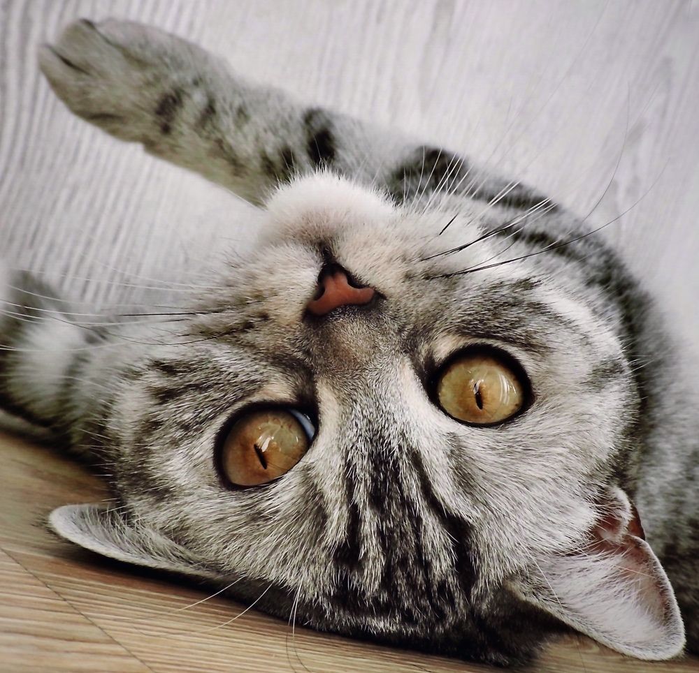 Photograph by Светлана Богомолова