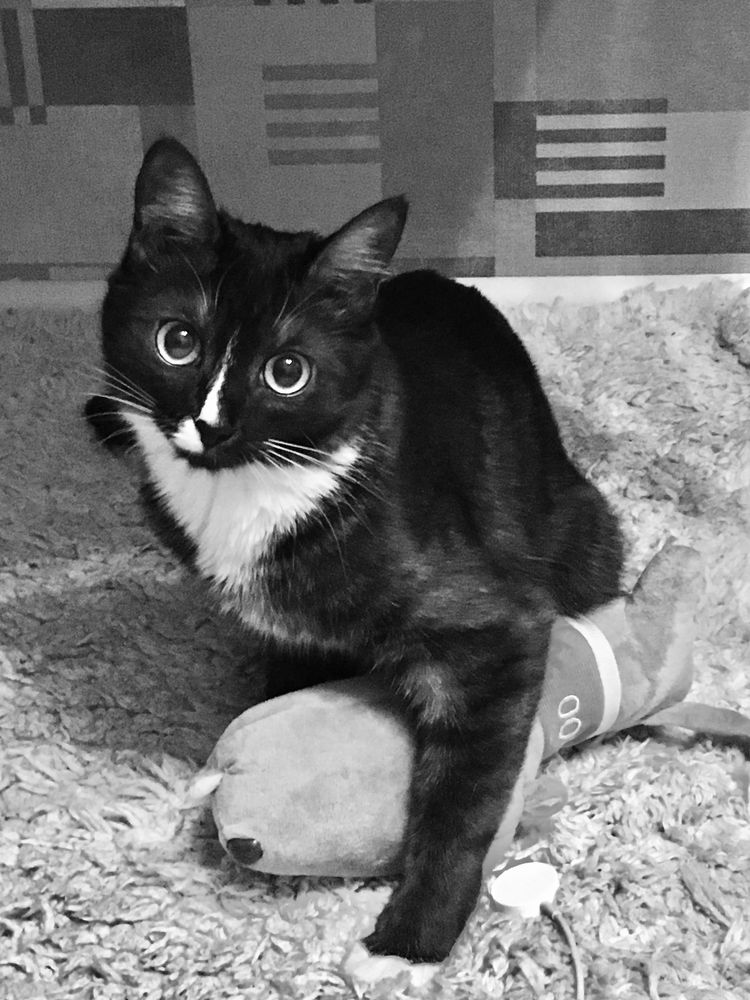 Photograph by Елена Макуха