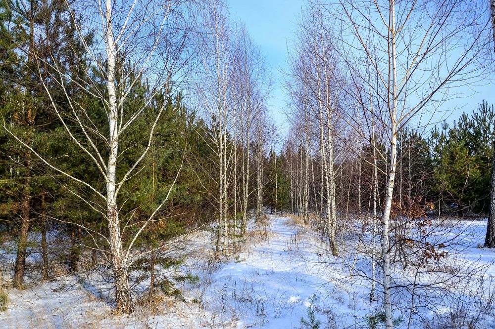 Photograph by Андрей Епишев