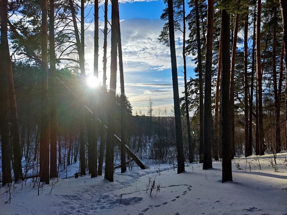 Photograph by Денис Хасанов