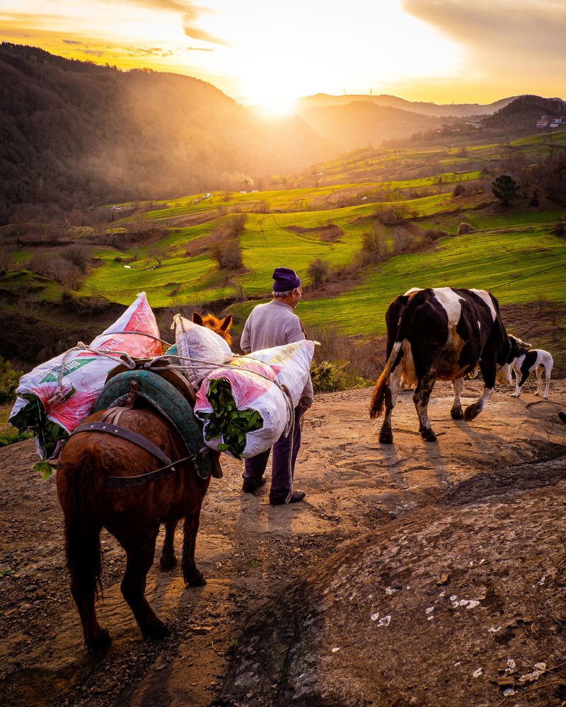 Фотография автора NECMETTİN SOBUTAY