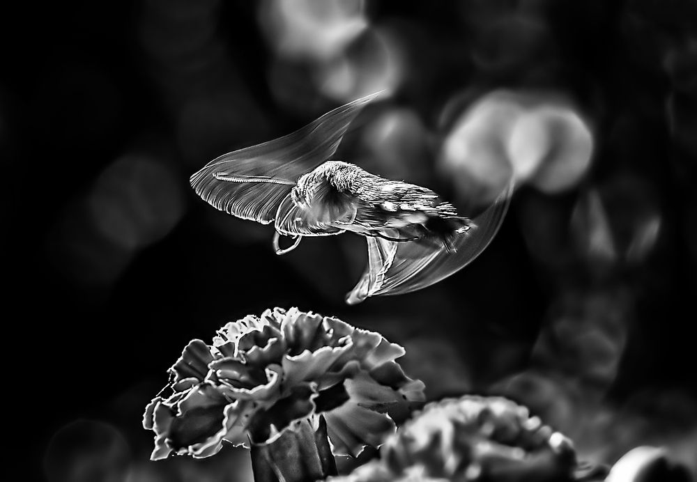 Photograph by Борис Новиков