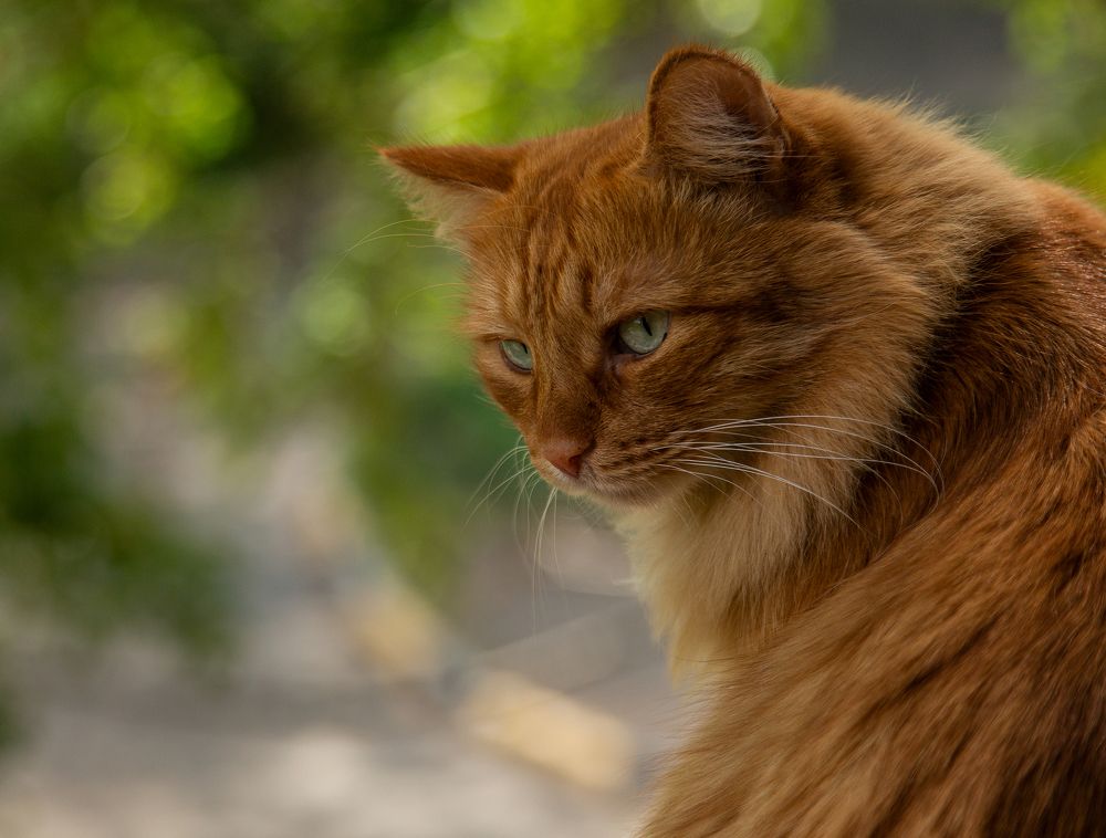 Photograph by Александр Литвиненко