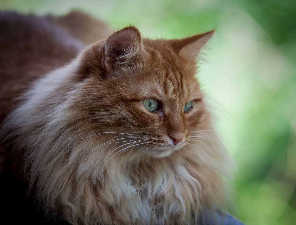 Photograph by Александр Литвиненко