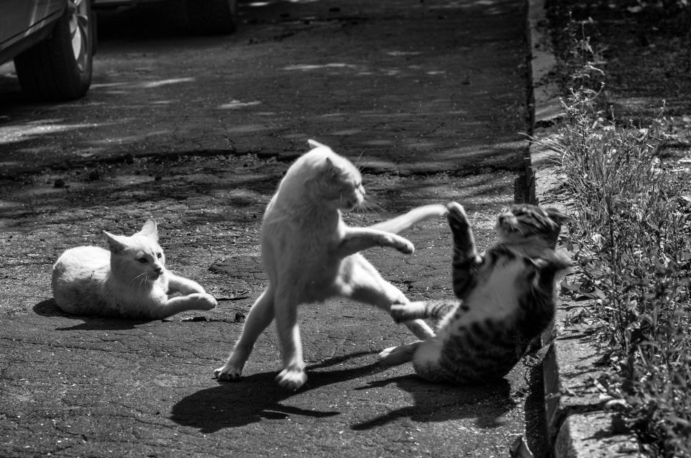 Photograph by Александр Чураков