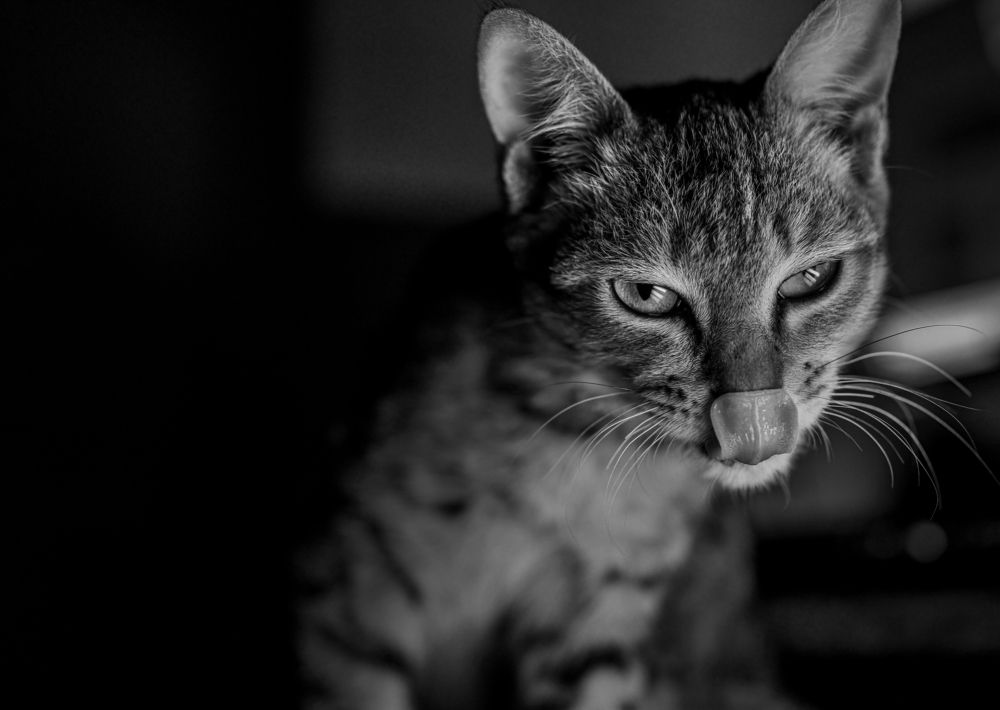 Photograph by Photography Sr