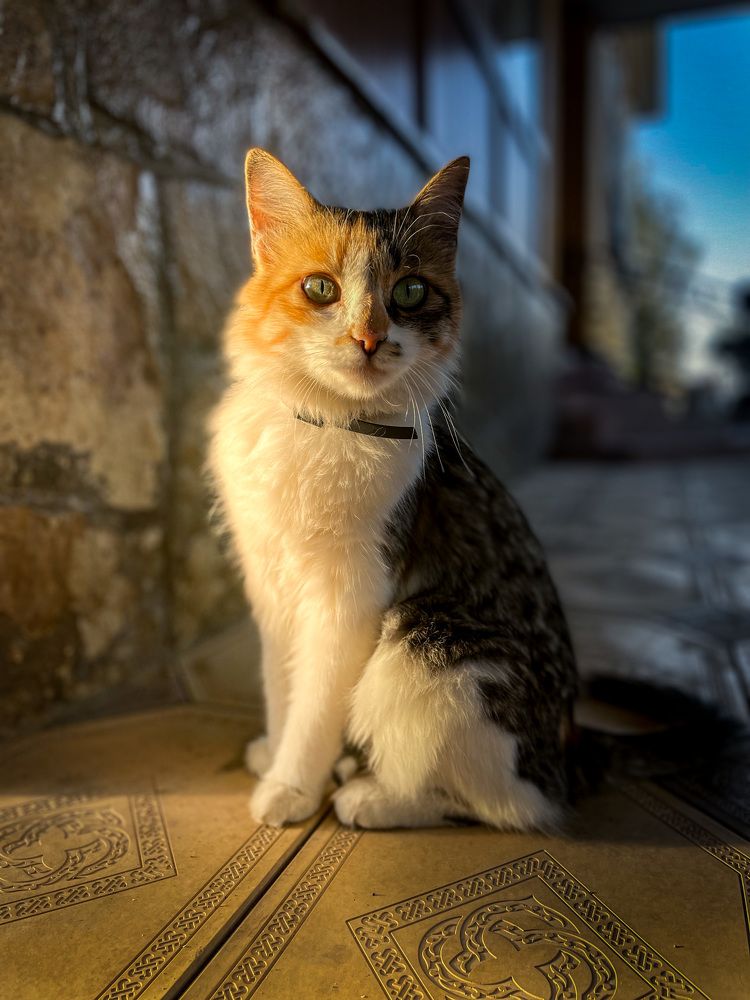 Photograph by Бекежан Мұхаметжанов