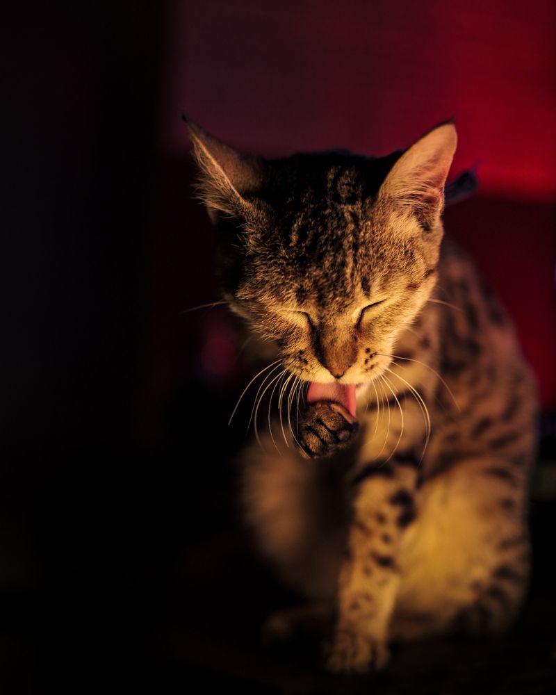 Photograph by Photography Sr