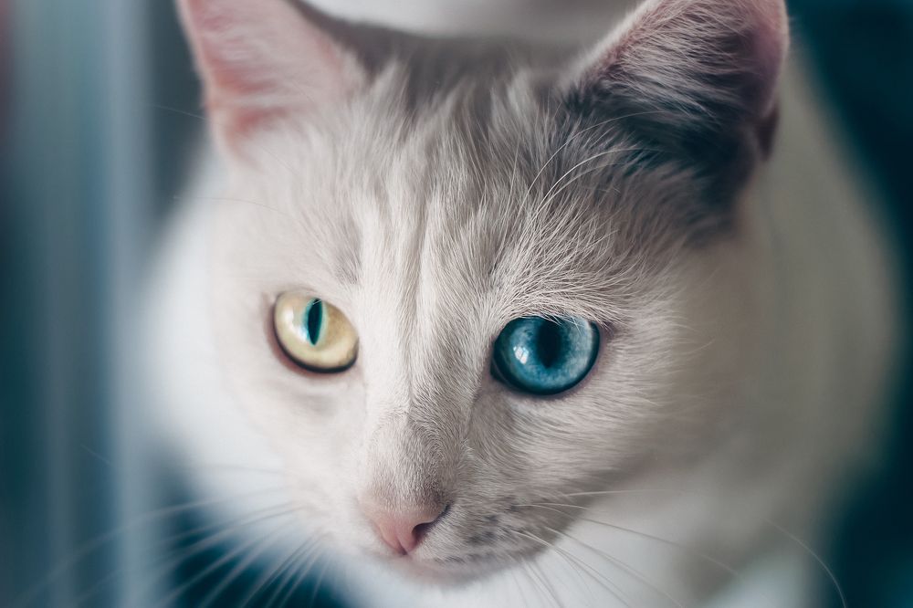 Photograph by Ксения Кузнецова