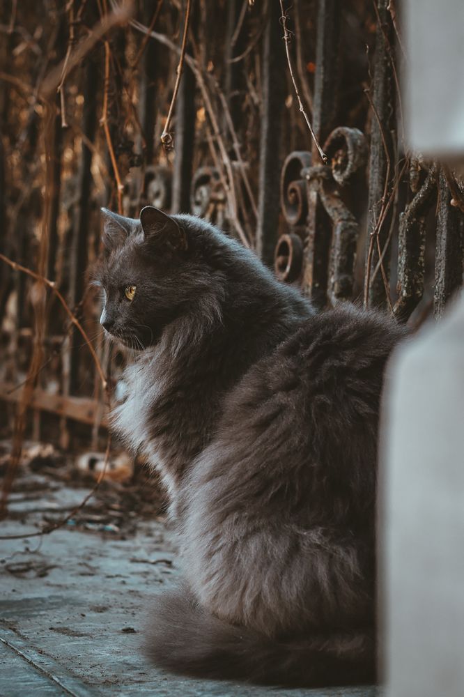 Photograph by Ксения Кузнецова