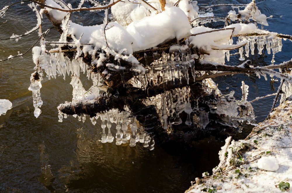 Photograph by Oleg Yashin