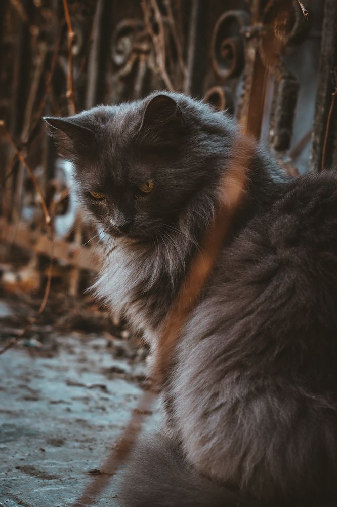 Photograph by Ксения Кузнецова