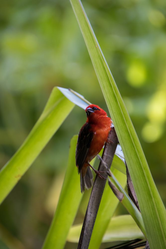 Photograph by Татьяна Мохова
