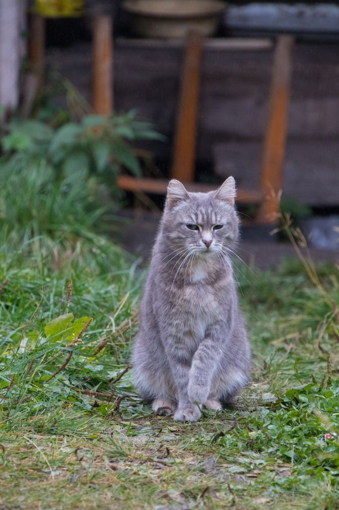 Photograph by Татьяна Мохова