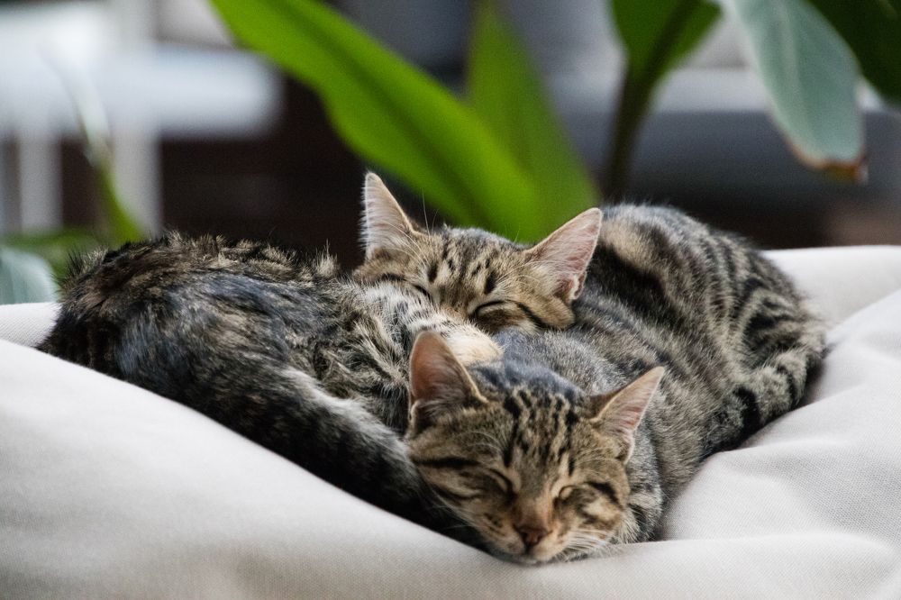 Photograph by Татьяна Мохова