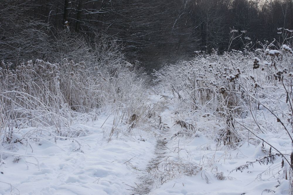 Photograph by Елизавета Корнилова