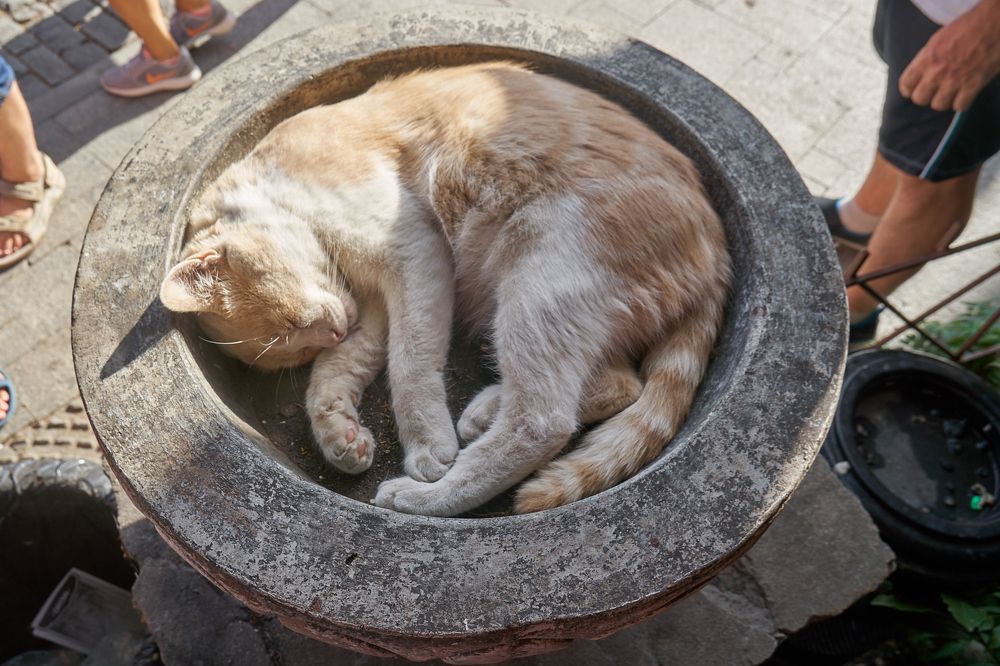 Photograph by Андрей Валерьевич