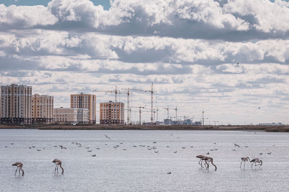 Photograph by Ксения Горленко