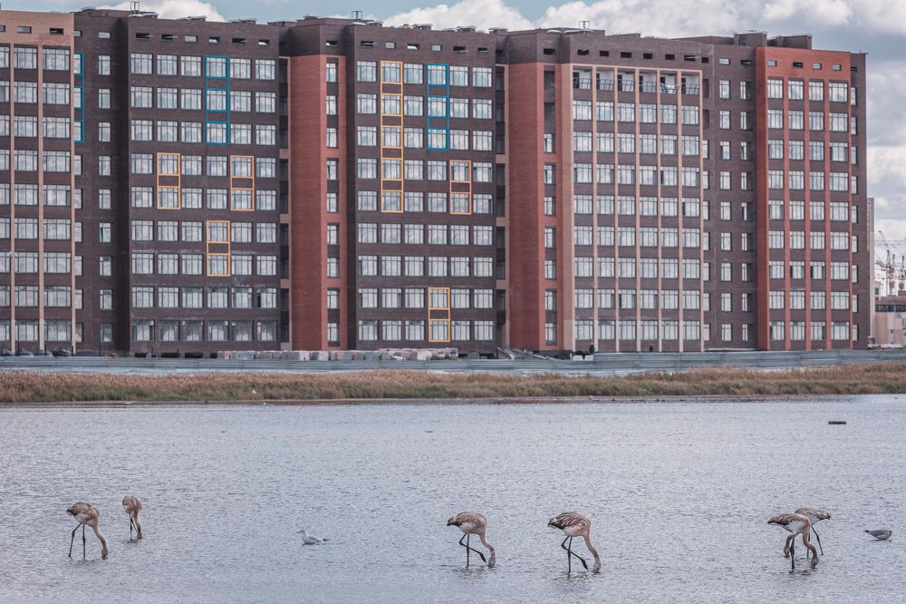 Photograph by Ксения Горленко