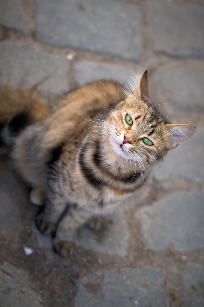 Photograph by Андрей Валерьевич