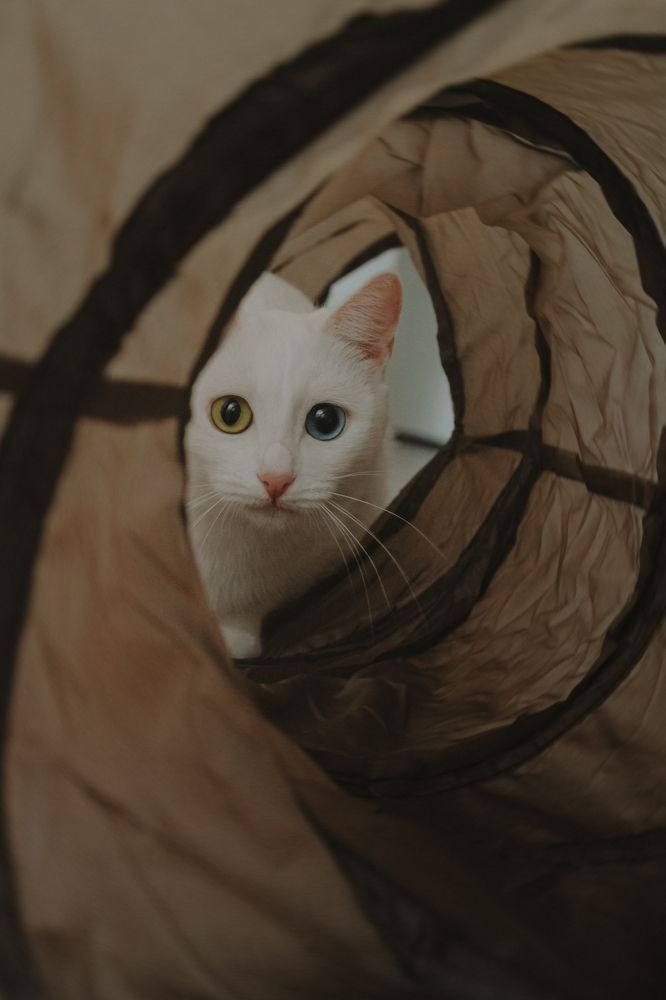 Photograph by Ксения Кузнецова