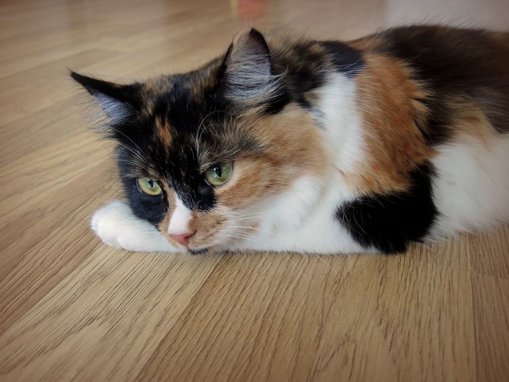 Не уезжай...