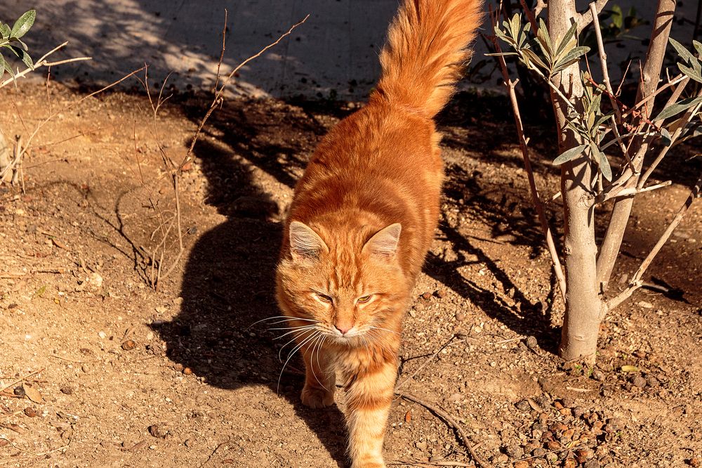 Photograph by Владимир Осипов