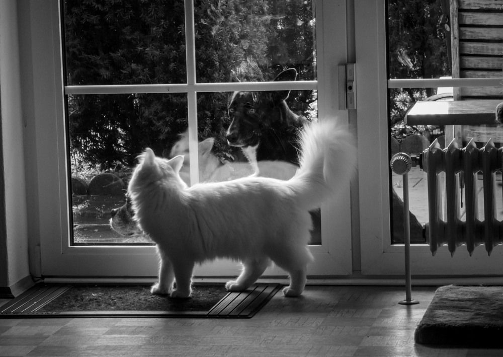 Photograph by Ирина Федорова