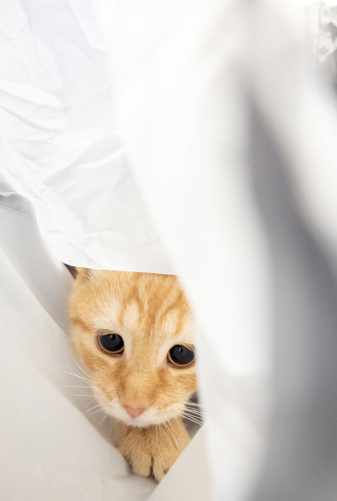 Photograph by Ксения Горленко