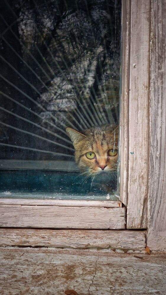 Photograph by Ксения Горленко