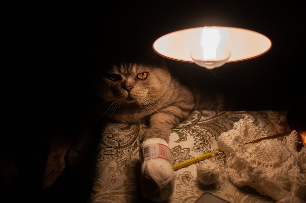 Photograph by Татьяна Зубехина