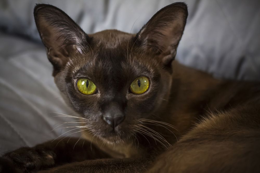 Photograph by Лебедь Алина