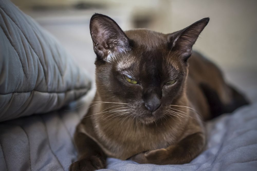 Photograph by Лебедь Алина